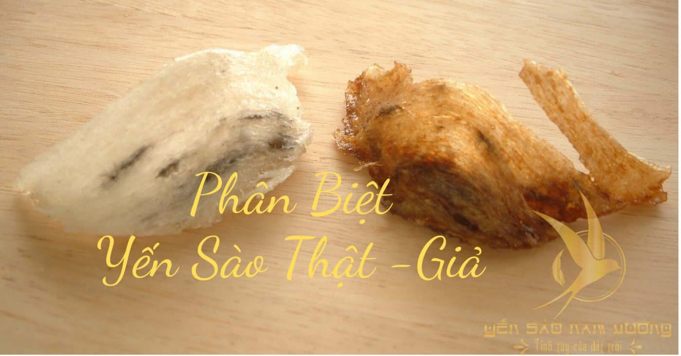 cách phân biệt yến sào thật và giả