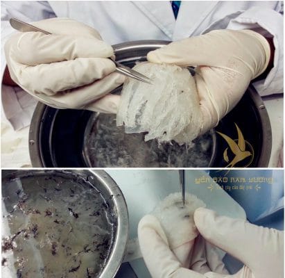 cách làm sạch tổ yến nhanh và hiệu quả