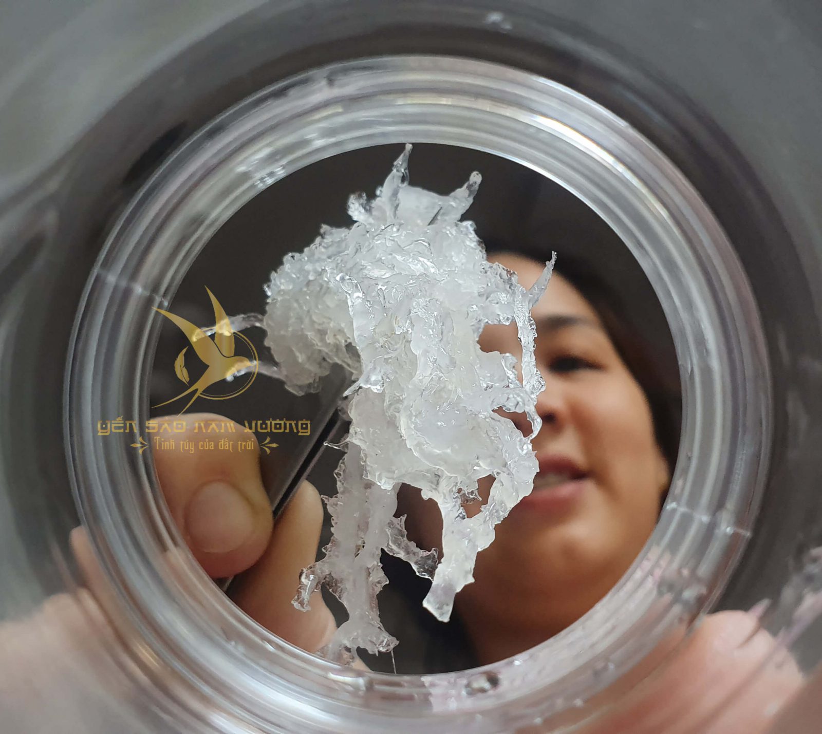 Yến Tươi Nguyên Chất 100% - Ảnh 3