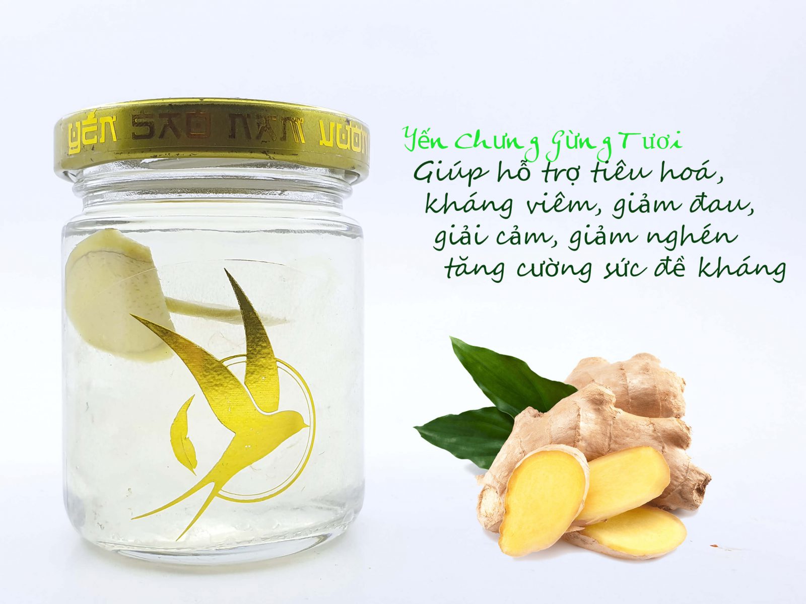 yến chưng gừng tươi