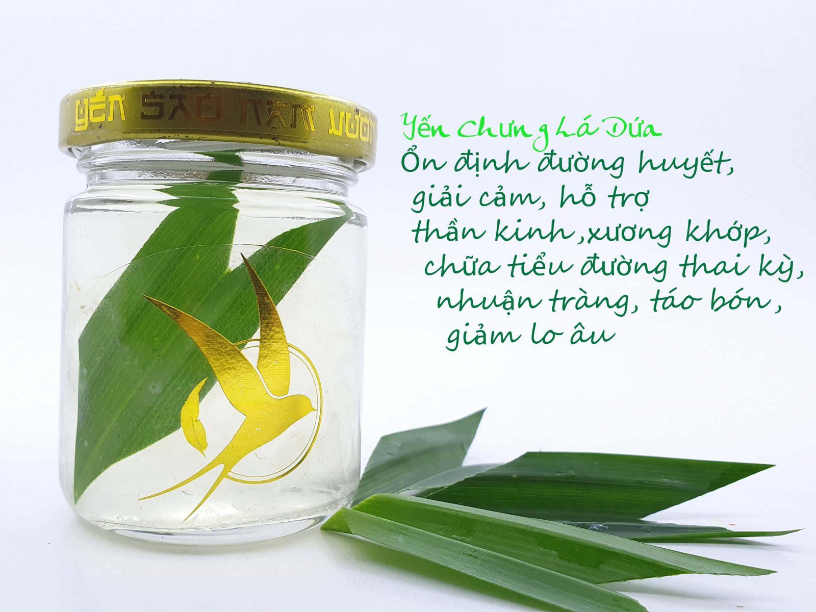 yến chưng lá dứa